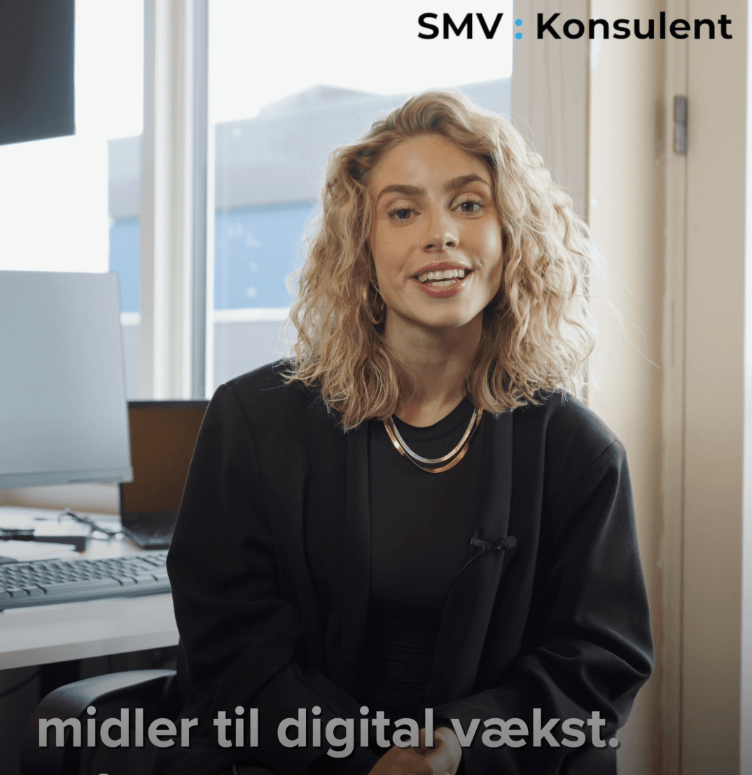SMV tilskud