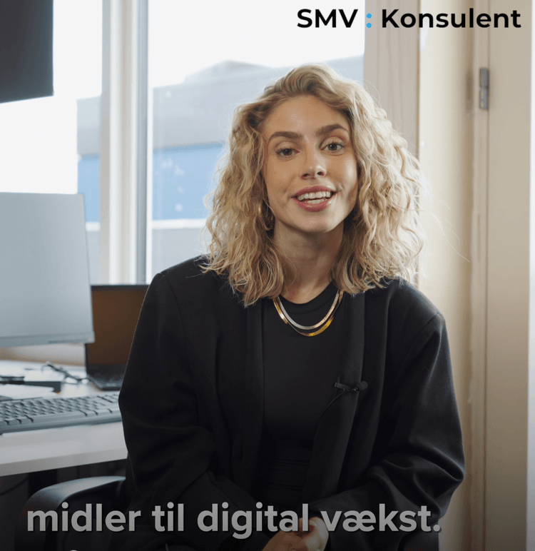 SMV tilskud